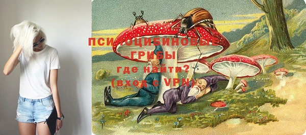 молекула духа Алексин
